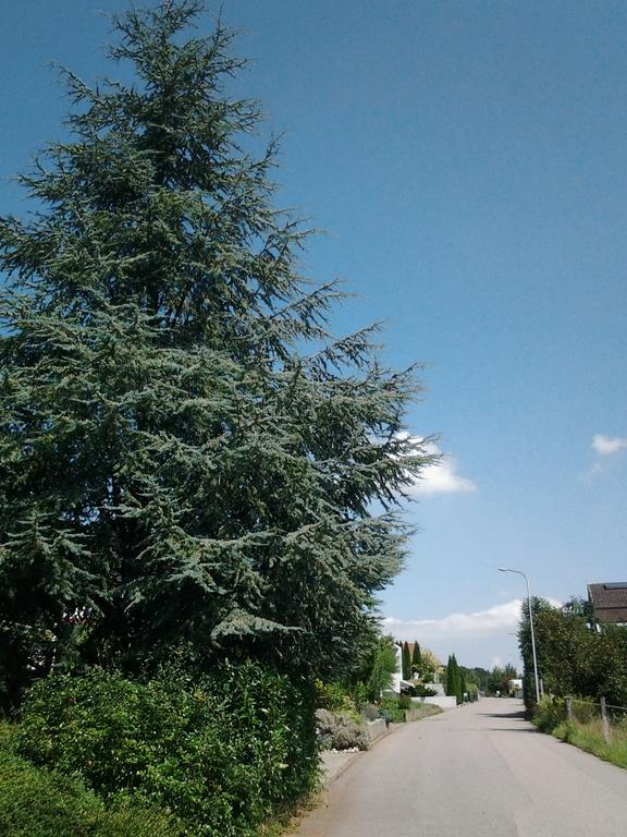 B&B Hersberg Εξωτερικό φωτογραφία